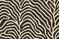 Seamless okapi stripe pattern with wavy brown lines on beige background Royalty Free Stock Photo