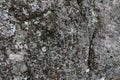 The Seamless old rock texture background closeup Royalty Free Stock Photo