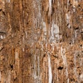 Seamless old wood texture