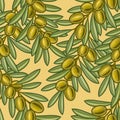 Seamless olive background