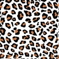 Seamless orange leopard print on white background. Vector pattern, texture, background