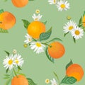 Seamless Orange pattern with tropic fruits, leaves, daisy flowers background. Hand drawn illustration in watercolor style summer Royalty Free Stock Photo