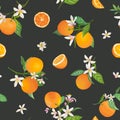 Seamless Orange pattern with tropic fruits, leaves, daisy flowers background. Hand drawn illustration in watercolor style summer Royalty Free Stock Photo