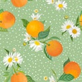 Seamless Orange pattern with tropic fruits, leaves, daisy flowers background. Hand drawn illustration in watercolor style summer Royalty Free Stock Photo