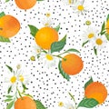 Seamless Orange pattern with tropic fruits, leaves, daisy flowers background. Hand drawn illustration in watercolor style summer Royalty Free Stock Photo