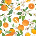 Seamless Orange pattern with tropic fruits, leaves, daisy flowers background. Hand drawn illustration in watercolor style summer Royalty Free Stock Photo