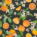 Seamless Orange pattern with tropic fruits, leaves, daisy flowers background. Hand drawn illustration in watercolor style summer Royalty Free Stock Photo