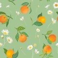 Seamless Orange pattern with tropic fruits, leaves, daisy flowers background. Hand drawn illustration in watercolor style Royalty Free Stock Photo