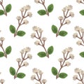 Seamless oregano pattern Royalty Free Stock Photo