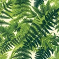 Organic pattern that mirrors the delicate patterns formed by unfurling fern fronds. AI Generated