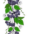 seamless ornament of black ashberry. branch of aronia pattern