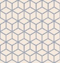 Seamless ornament mesh geometric pattern Royalty Free Stock Photo