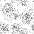 Seamless outline background made of rose buds and leaves. Endless pattern for floral design. Black and white. Royalty Free Stock Photo