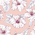 Seamless outlined floral pattern. Hibiscus repeating print, endless flowers background in vintage style. Botanical Royalty Free Stock Photo