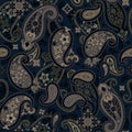 Seamless paisley pattern