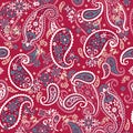 Seamless paisley pattern