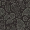 Seamless paisley texture Royalty Free Stock Photo