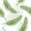 Seamless palm leaf pattern. Royalty Free Stock Photo