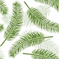 Seamless palm leaf pattern. Royalty Free Stock Photo