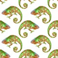 Seamless patern with chameleons.