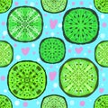 Seamless patern with kiwi. Fruit pattern, abstract stylized fruit ornament.