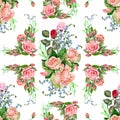 Seamless patter panel of roses on a white background. Royalty Free Stock Photo