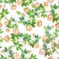 Seamless patter watercolor branch roses.