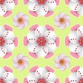 Seamless pattern design was inspired by colourful flowers.