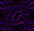 Seamless pattern, abstract background. Complex overlay of lot of curved blue and red lines. Beautiful.