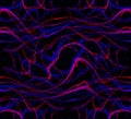 Seamless pattern, abstract background. Complex overlay of lot of curved blue and red lines. Beautiful.