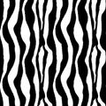 Seamless pattern of Abstract black and white stripes. Tiger or zebra skin texture. Print for fabric, wall wallpaper or wrapping Royalty Free Stock Photo