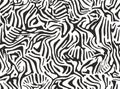 Seamless pattern of abstract black and white stripes. Zebra skin texture. Print for fabric, wallpaper or wrapping paper. Vector Royalty Free Stock Photo