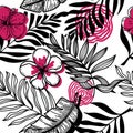 Seamless pattern of abstract tropical elements hand-drawn in sketch style. Monochrome with red spots. Bright strelitia Royalty Free Stock Photo