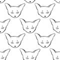 Seamless pattern with Abyssinian cat. Linear black drawing of kitten. Royalty Free Stock Photo