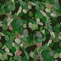 Seamless pattern of acorn and oak leaves. Vector image Royalty Free Stock Photo