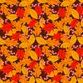 Seamless pattern with acorns and autumn oak leaves in Orange, Beige, Brown and Yellow. Perfect for wallpaper, gift paper. autumn Royalty Free Stock Photo