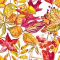 Seamless pattern with acorns and autumn oak leaves in Orange, Beige, Brown and Yellow. Perfect for wallpaper, gift paper Royalty Free Stock Photo