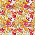 Seamless pattern with acorns and autumn oak leaves in Orange, Beige, Brown and Yellow. Perfect for wallpaper, gift paper Royalty Free Stock Photo