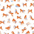 Seamless pattern with adorable Akita Inu performing daily activities. Backdrop with active purebred dog. Background with