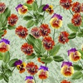 Seamless pattern with adorable colorful pansy flowers on a green texture. Royalty Free Stock Photo