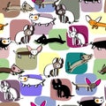 Seamless pattern with adorable kittens.