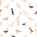 Seamless Pattern Adorned With Arctic Birds, Puffin, Snowy Owl, Arctic Tern, Common Eider, Guillemot, Sanderling, Gull