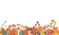 Seamless Pattern Adorned With Vibrant Autumn Plants And Leaves, Horizontal Border Or Wallpaper, Vector Illustration Royalty Free Stock Photo