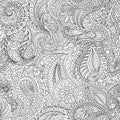 Seamless pattern for adult antistress coloring book. Black and white paisley ornament for textiles. Hand drawn turkish cucumber