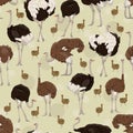 Seamless pattern with African ostrich. Large wild birds of Africa.