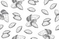 Seamless pattern with almond nuts. Line art style.