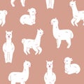 Seamless Pattern. Alpaca llama sleep, standing and jumping Royalty Free Stock Photo