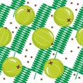 Seamless pattern with amla, indian gooseberry on white background. Cosmetics and medical plant. Vector cartoon