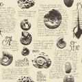 Seamless Pattern With Ancient Ammonite Shells And Trilobites