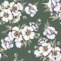 Seamless pattern with anemones. Hand draw watercolor illustration